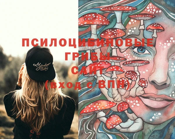 бошки Бутурлиновка