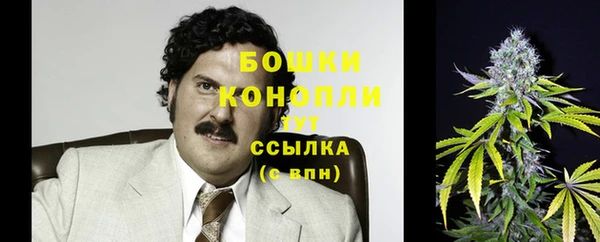 спайс Болотное
