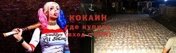 стаф Болхов