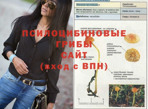 синтетический гашиш Нефтекумск