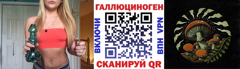 Галлюциногенные грибы Psilocybine cubensis  купить закладку  Ивангород 